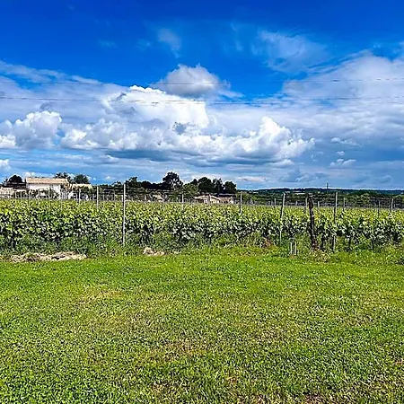 La Maison De Architecte Proche Bordeaux Ξενοδοχείο Salleboeuf